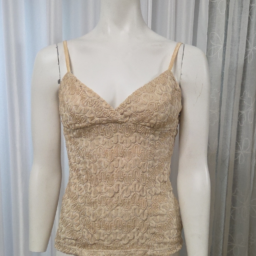 Elegant Gold Shimmer Sheer Lace Coquette Formal Piece - Size L [1024]